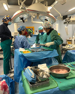 Slider image (4) Hospital Tor Vergata